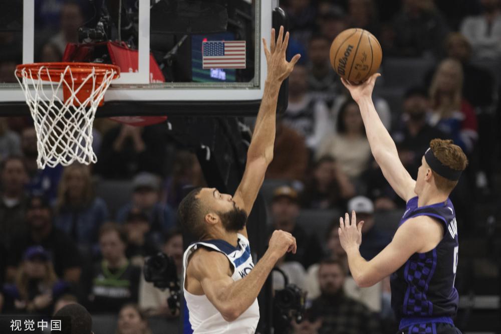 网球领域 网球领域